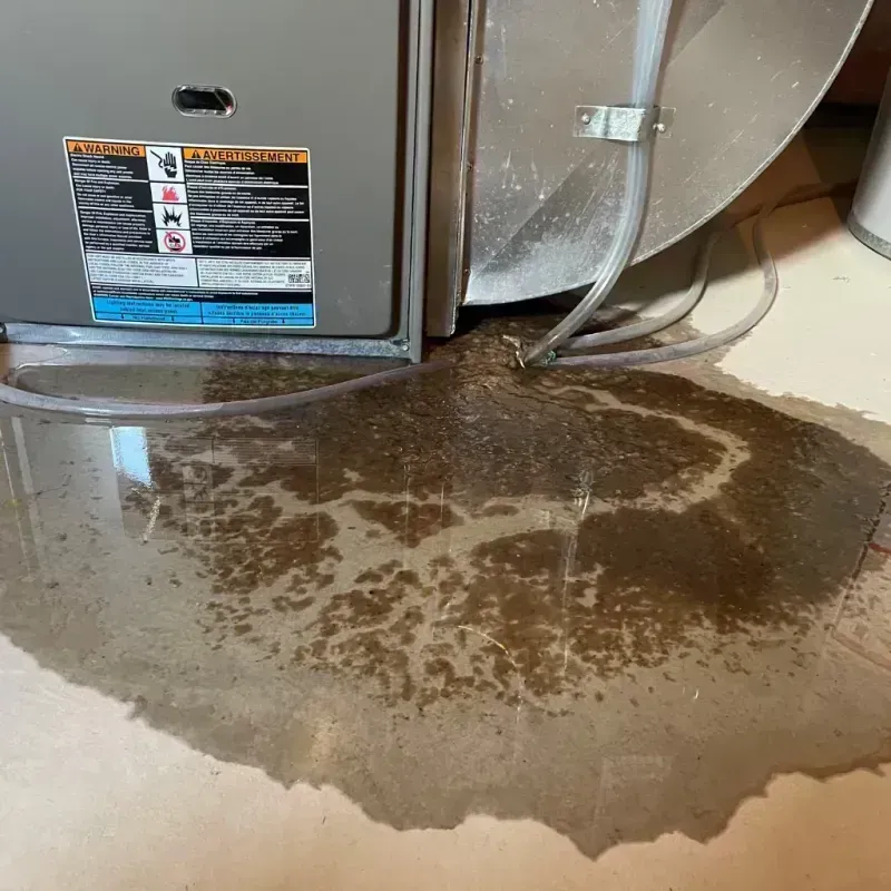 Appliance Leak Cleanup in Hampshire, IL